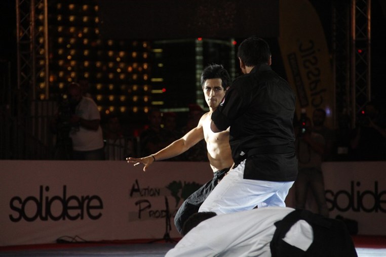 Martial Arts Festival